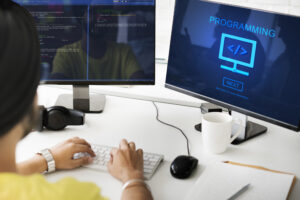 custome software development in australia